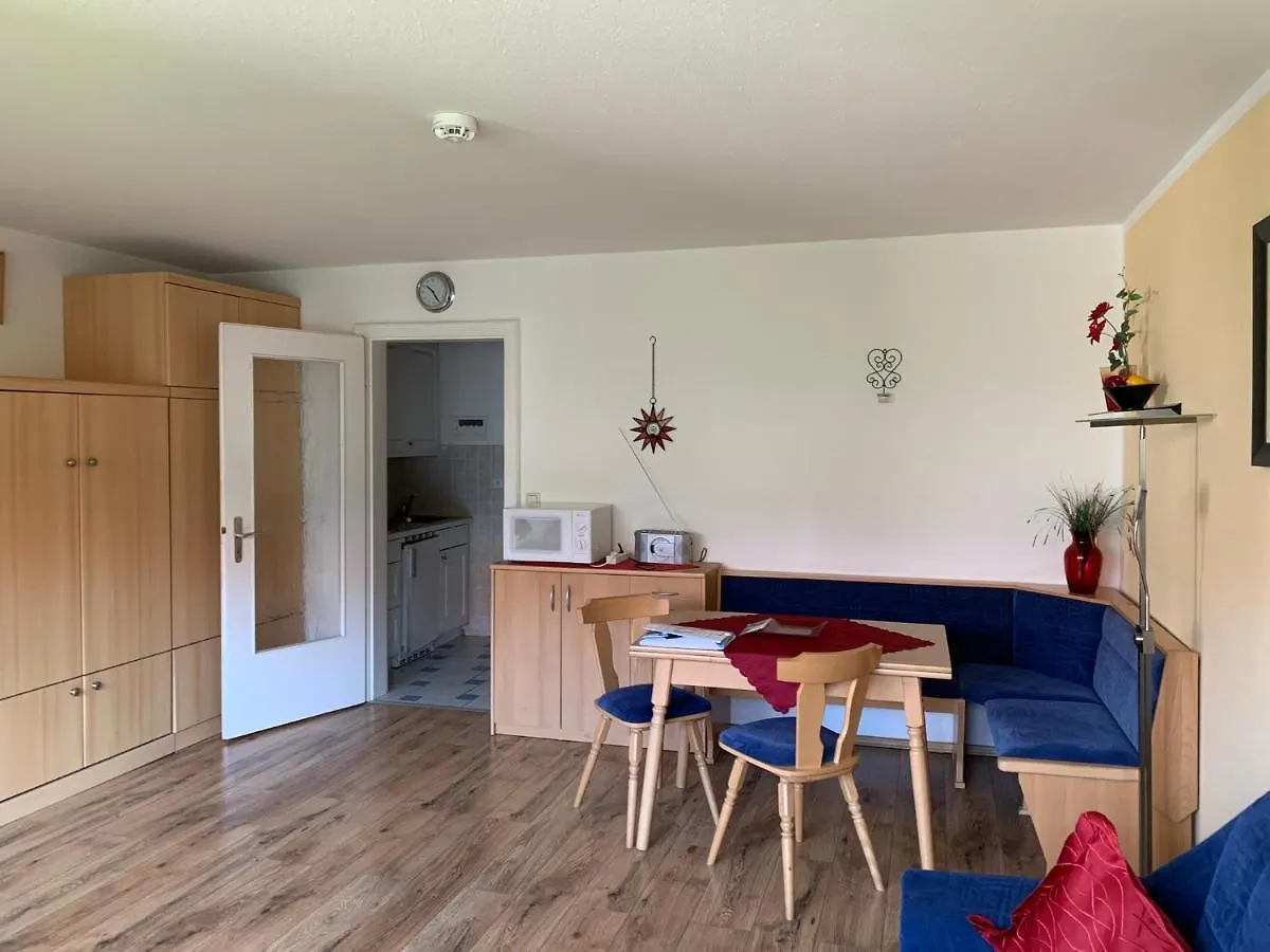 Nebelhorn Appartement Nr 10 Einraum-Appartement Oberstdorf Apartment
